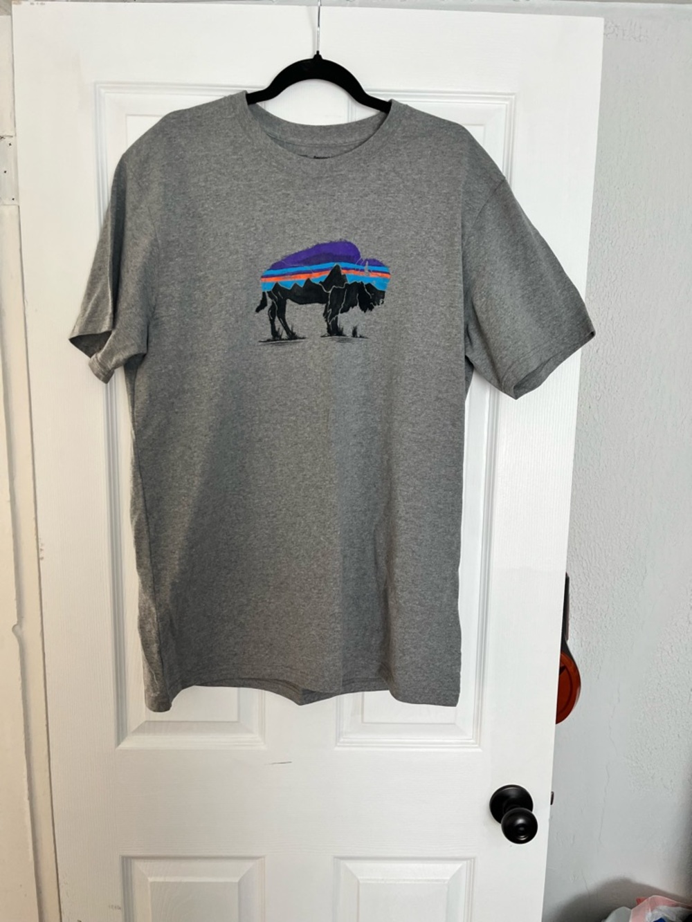 Gray Patagonia Buffalo Short-Sleeve Men's T-Shirt
